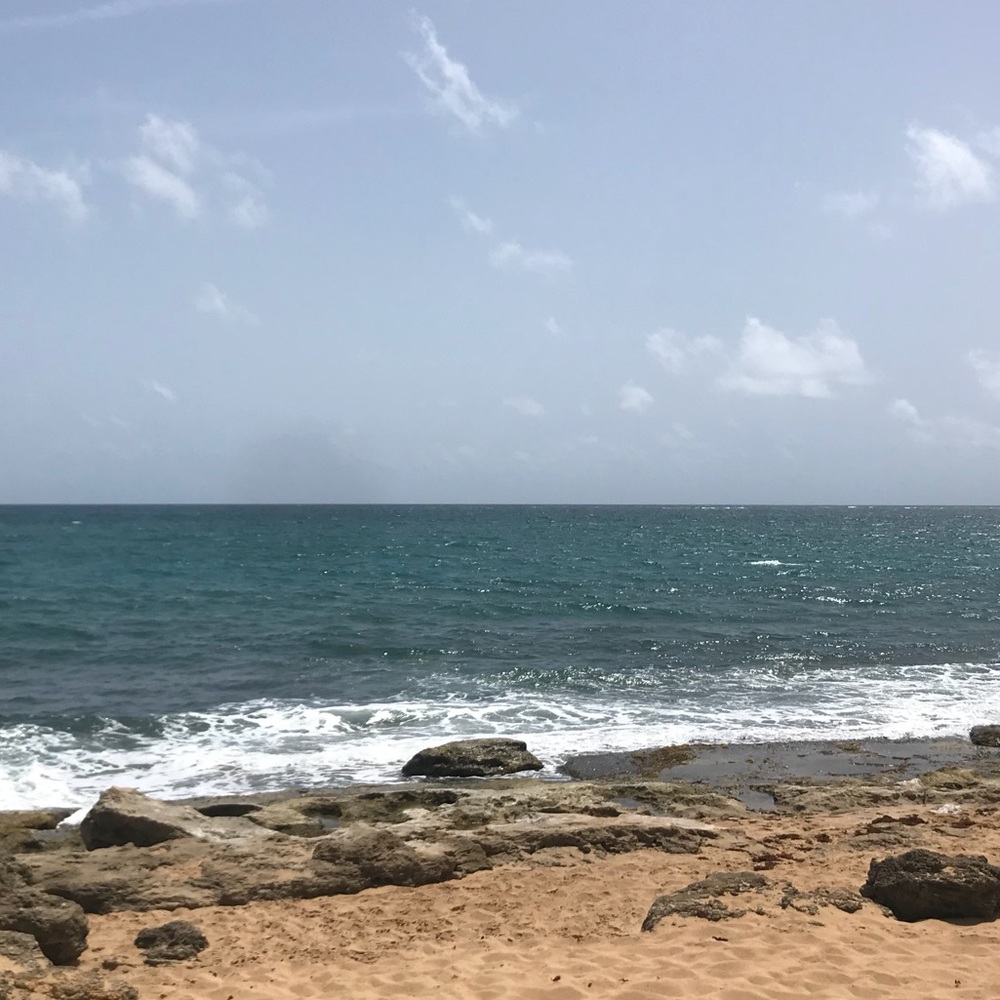 Meet your Posher, Em